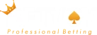 Betvoy Logo